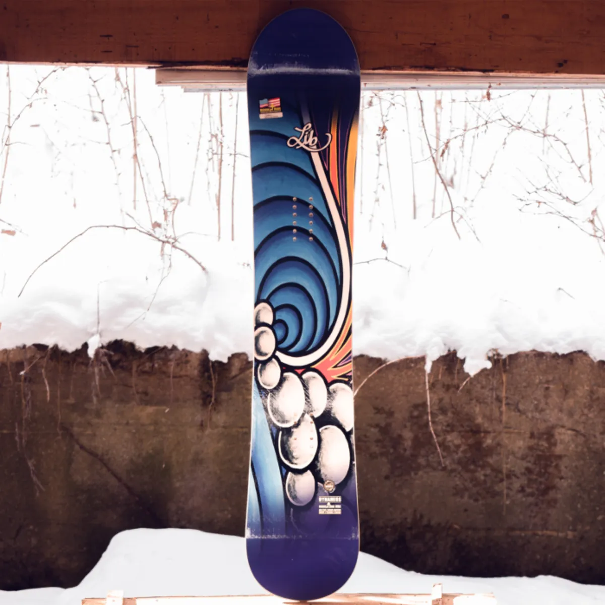 Lib Tech Dynamiss Snowboard Womens